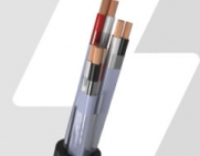 CABO CORD-INSTRUMENTAí‡íƒO BIC 300V